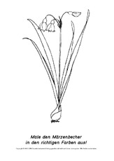 Frühlingsblüher-Ausmalbilder 17.pdf